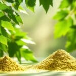 Moringa for Blood Sugar, Cholesterol, and Weight Loss: How Moringa Magic Supports Metabolic Health