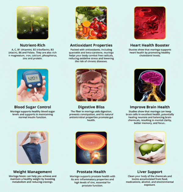 Moringa Magic benefits infographic (energy, immunity, metabolism)
