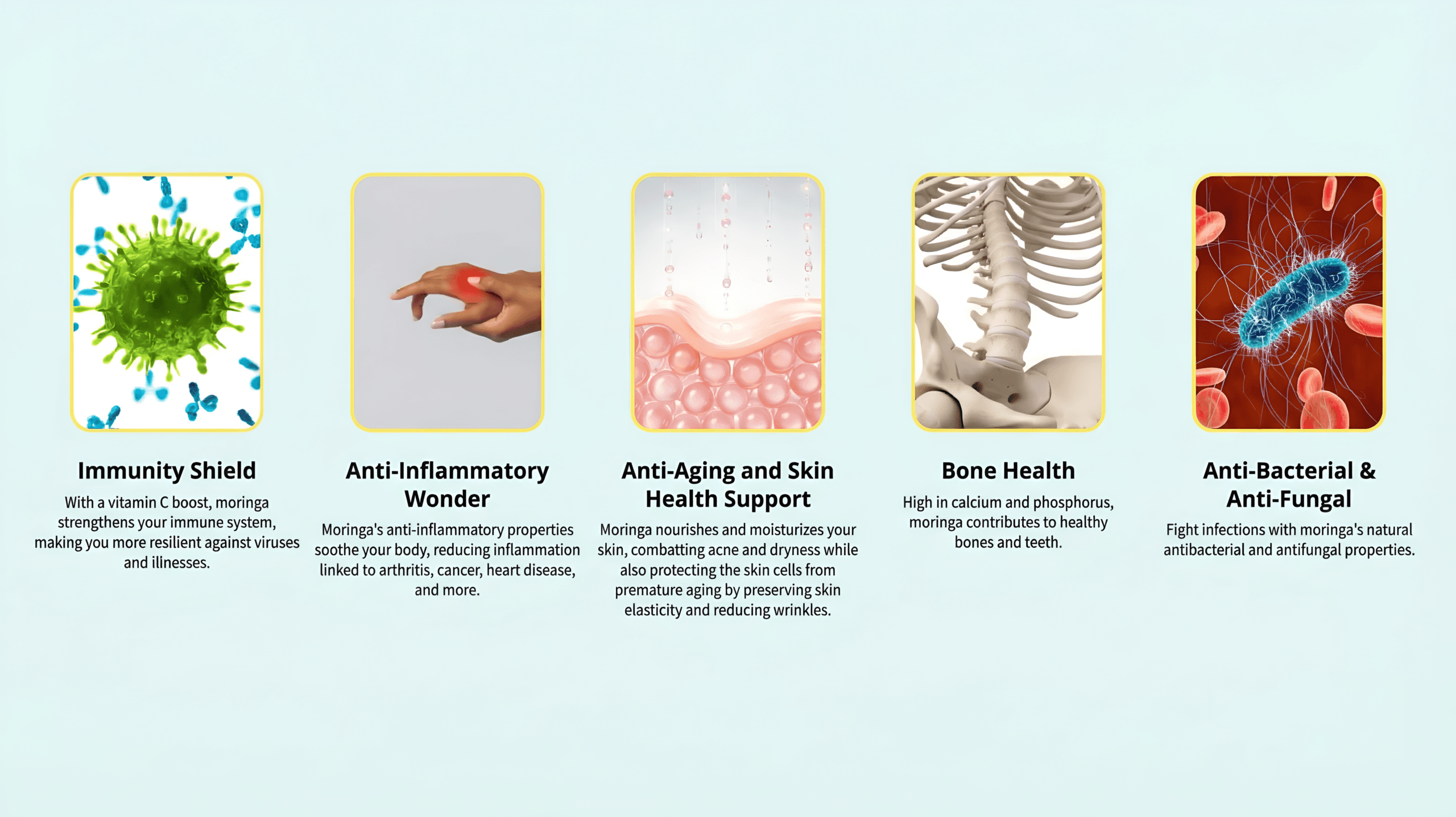 Extraordinary benefits of Moringa Magic infographic