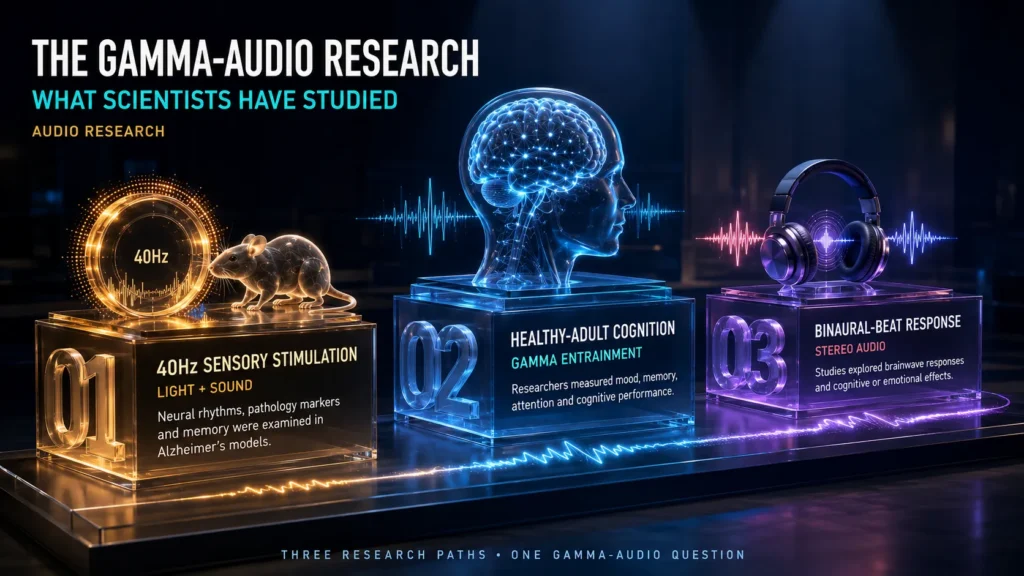 The Brain Song — Ingredient Evidence